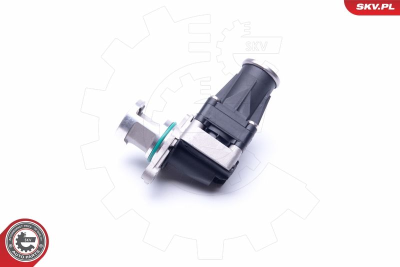 *PRZEPUSTNICA BENZYNA|16:00-ig rend. BP másnap, vidék +1 nap 2025.11.21