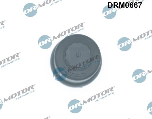 Dr.Motor Automotive alkatrész|Távoli klt. esetén 1-2 m.napos szállítás 2025.5.1