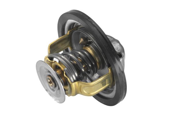 THERMOSTAT FUER|1 munkanapos beszerzés 2025.4