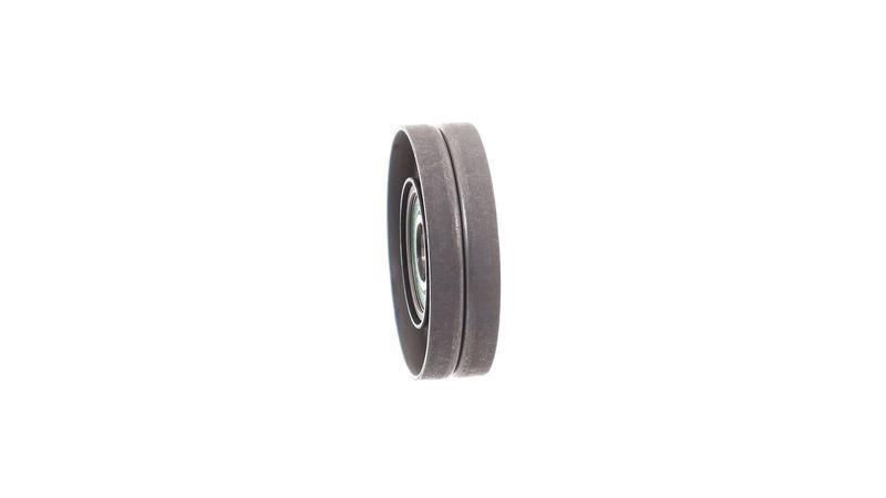 VKM-VKMT,TIMING LOOSE PARTS AND BELTS PV|25-04