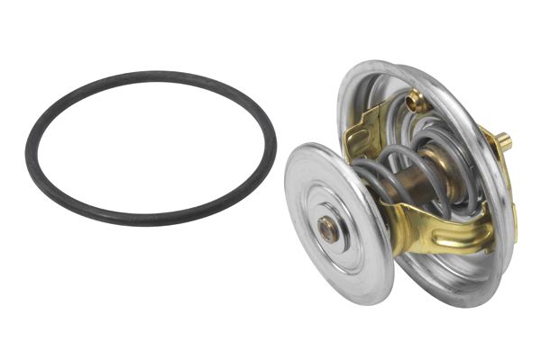 BorgWarner (Wahler) alkatrész|Távoli klt. esetén 1-2 m.napos szállítás 2025.4.28