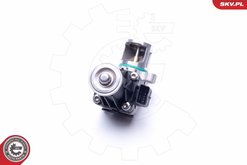 *PRZEPUSTNICA BENZYNA|16:00-ig rend. BP másnap, vidék +1 nap 2025.11.21